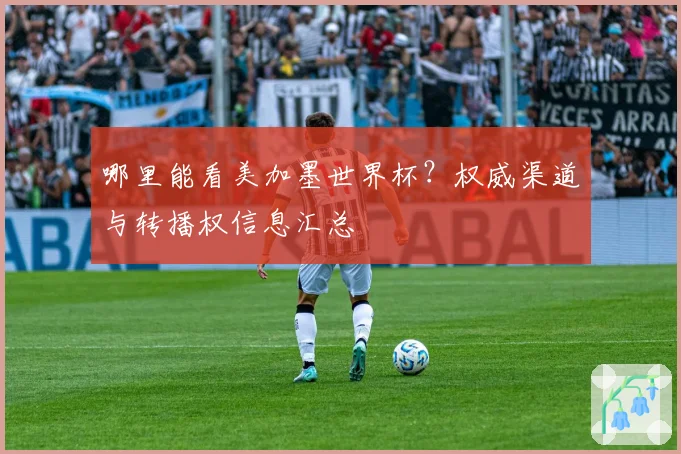 哪里能看美加墨世界杯？权威渠道与转播权信息汇总