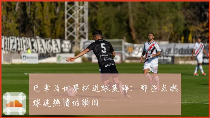 巴拿马世界杯进球集锦：那些点燃球迷热情的瞬间