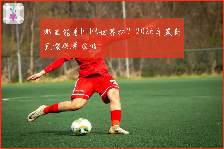 哪里能看FIFA世界杯？2026年最新直播观看攻略