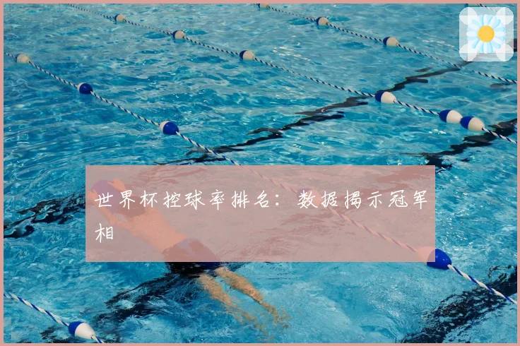 世界杯控球率排名：数据揭示冠军相