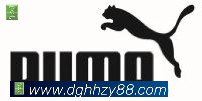 爱游戏ayx合作伙伴