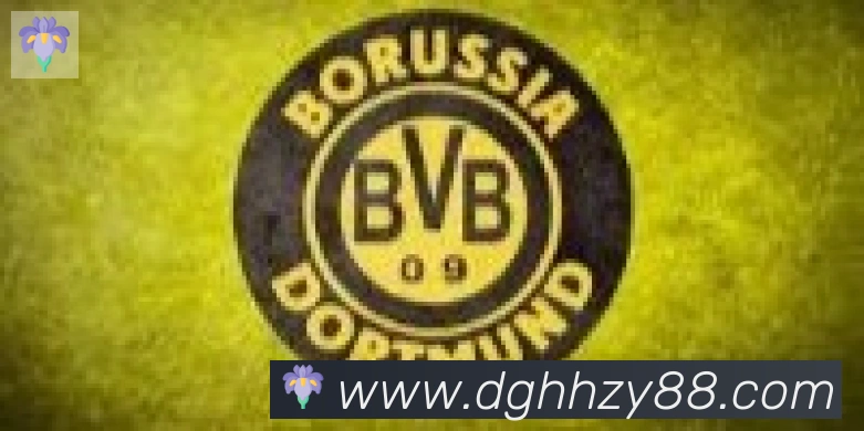 爱游戏ayx合作伙伴